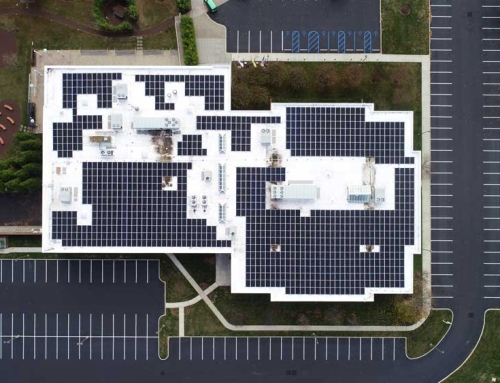 How Many Solar Panels Do I Need to Power My Business?