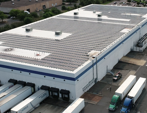 What does it take to Succeed in the Solar Industry for 10 Years?