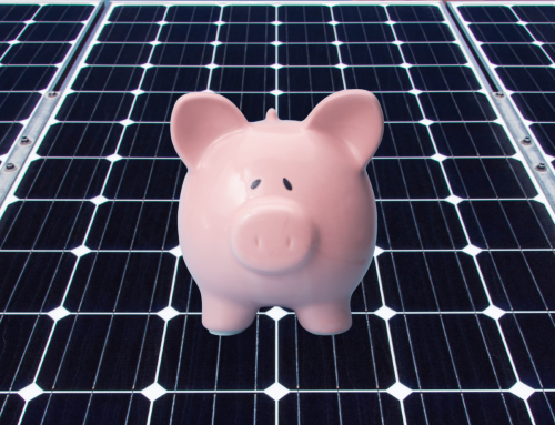 2019 is the Year of the PIGgy Bank