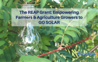 Geoscape Solar helps New Jersey farmers and agriculture Growers go solar by helping them qualify for USDA REAP grants and USDA REAP loans