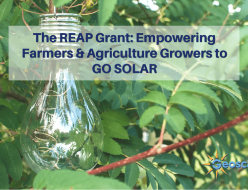The REAP Grant: Empowering Farmers & Agriculture Growers to Go Solar